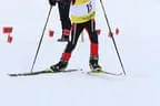 Rennen Bild 23