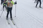 koasalauf 2018 Bild 5