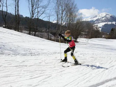 Fohlen Bild 24