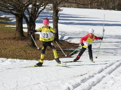 Rennen Bild 222